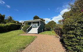 Four Huia